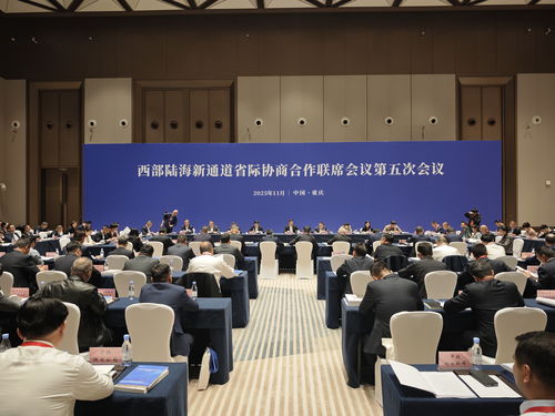 共商共建 合作共贏——西部陸海新通道省際協(xié)商合作聯(lián)席會(huì)議第五次會(huì)議在渝順利召開
