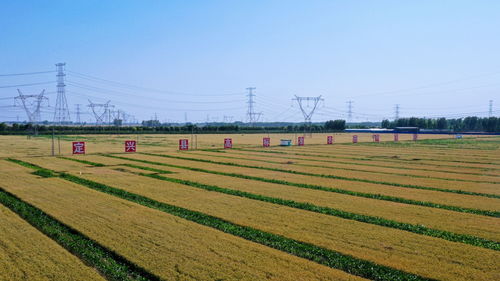 河北保定 科技創新為農業產業化發展注入澎湃動能